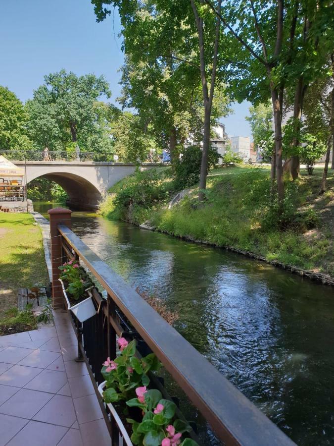 Homestay Kamienica Gorna 7 *